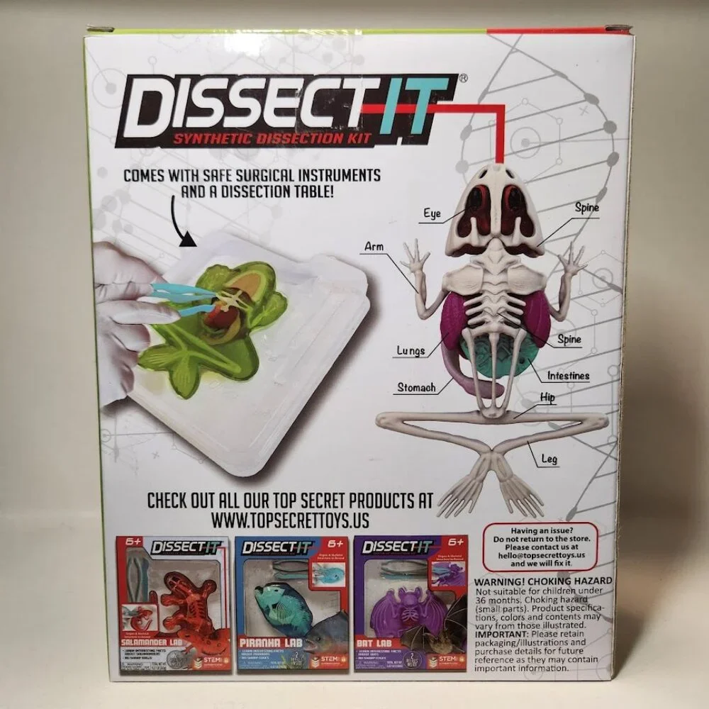 NEW Dissect-it Synthetic Lab Dissection Toy STEM KIT CRAFT Project Frog Biology